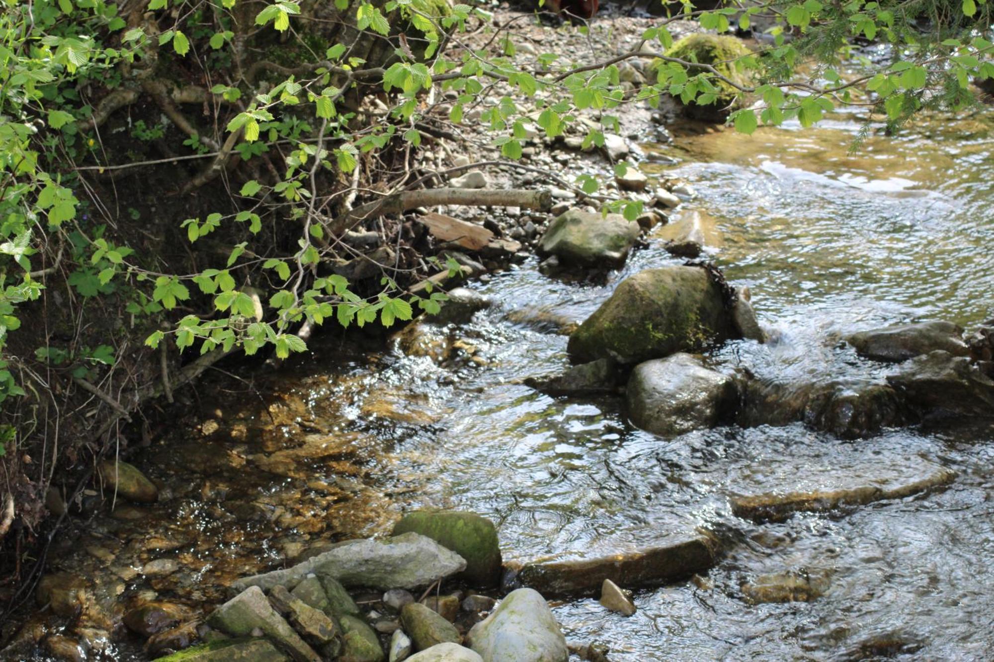 Naturparadies Silvia Alberschwende Kültér fotó