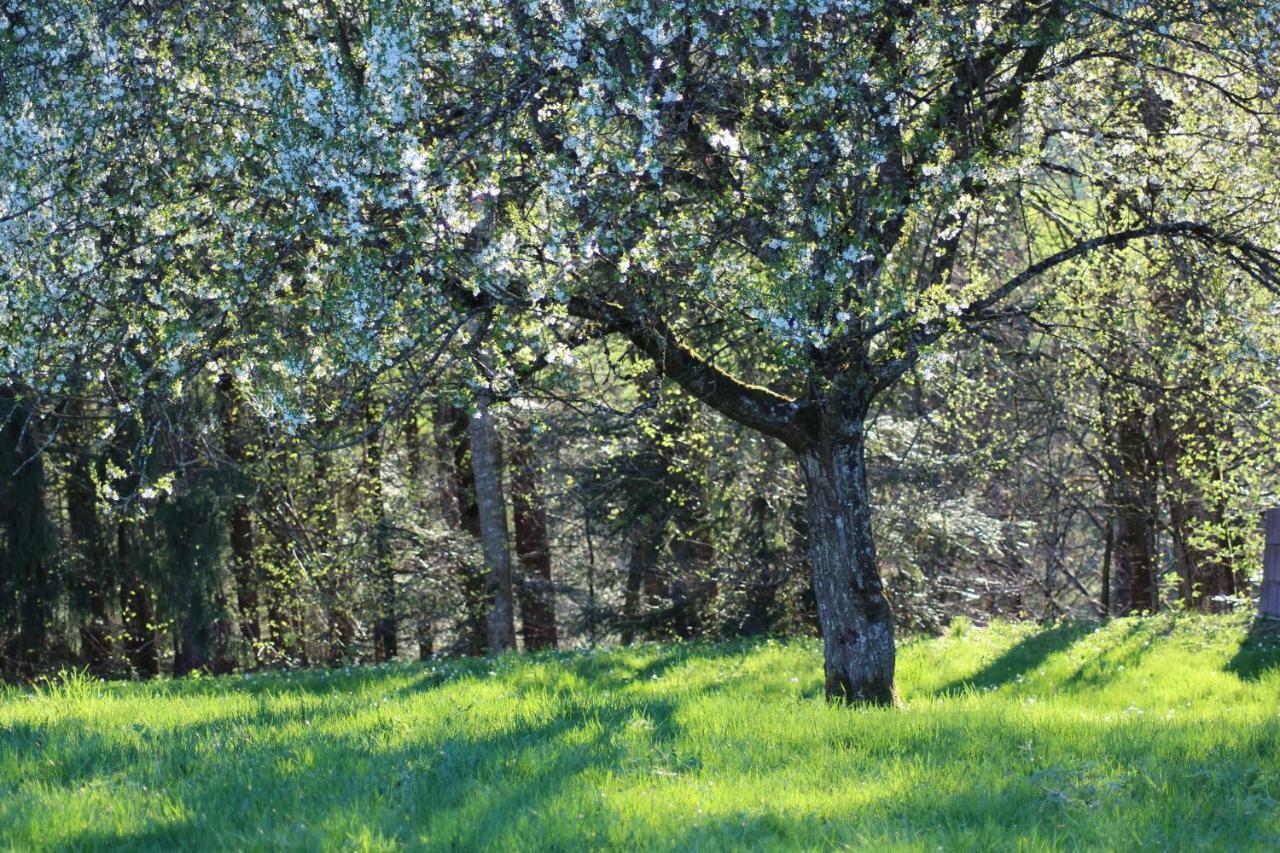 Naturparadies Silvia Alberschwende Kültér fotó