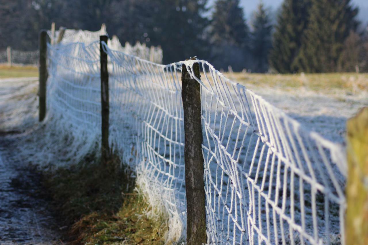 Naturparadies Silvia Alberschwende Kültér fotó